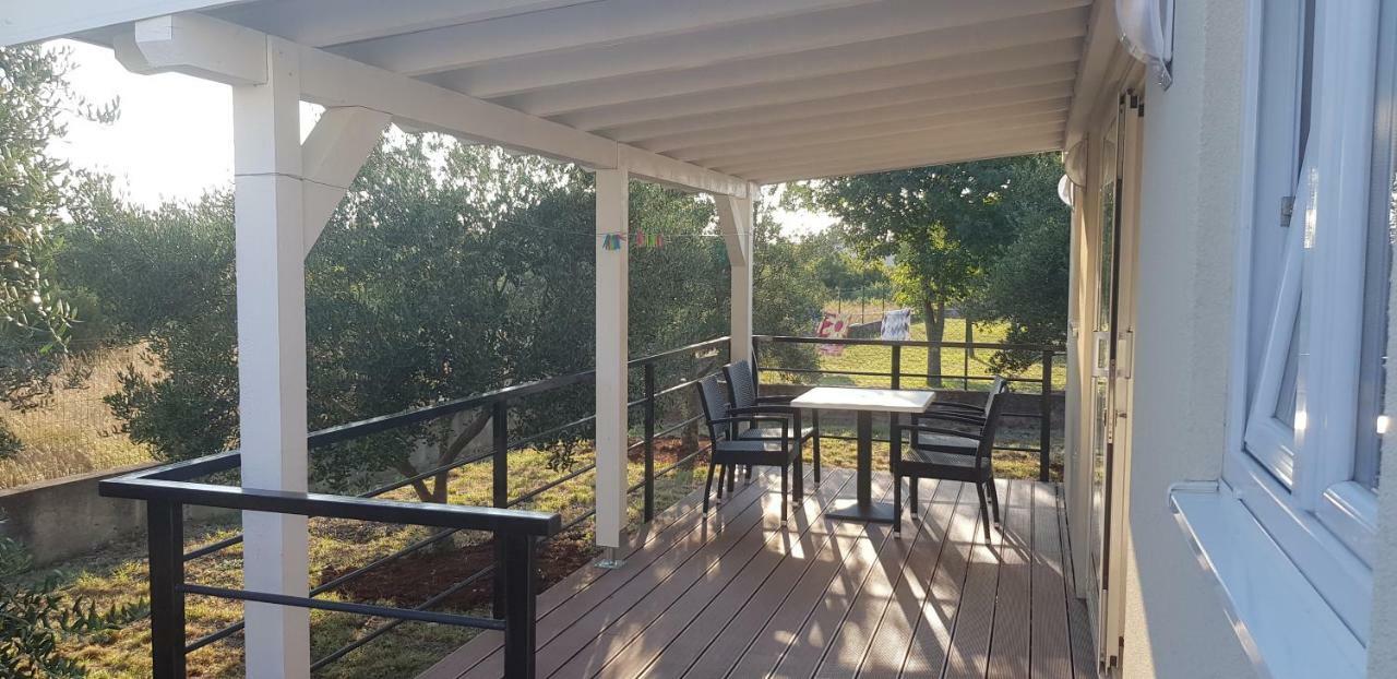 Kamp Tonci Hotel Biograd Na Moru Eksteriør billede